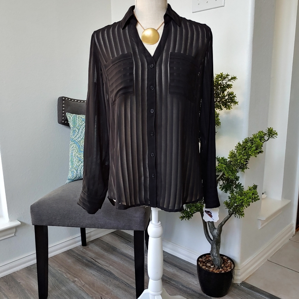 Express Sheer Black Striped Button-Down Blouse